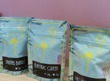 flamingo cbd- ibiza (4)