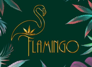 flamingo cbd- ibiza (5)