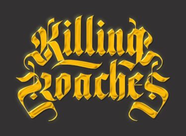 killing roaches- barcelona (1)